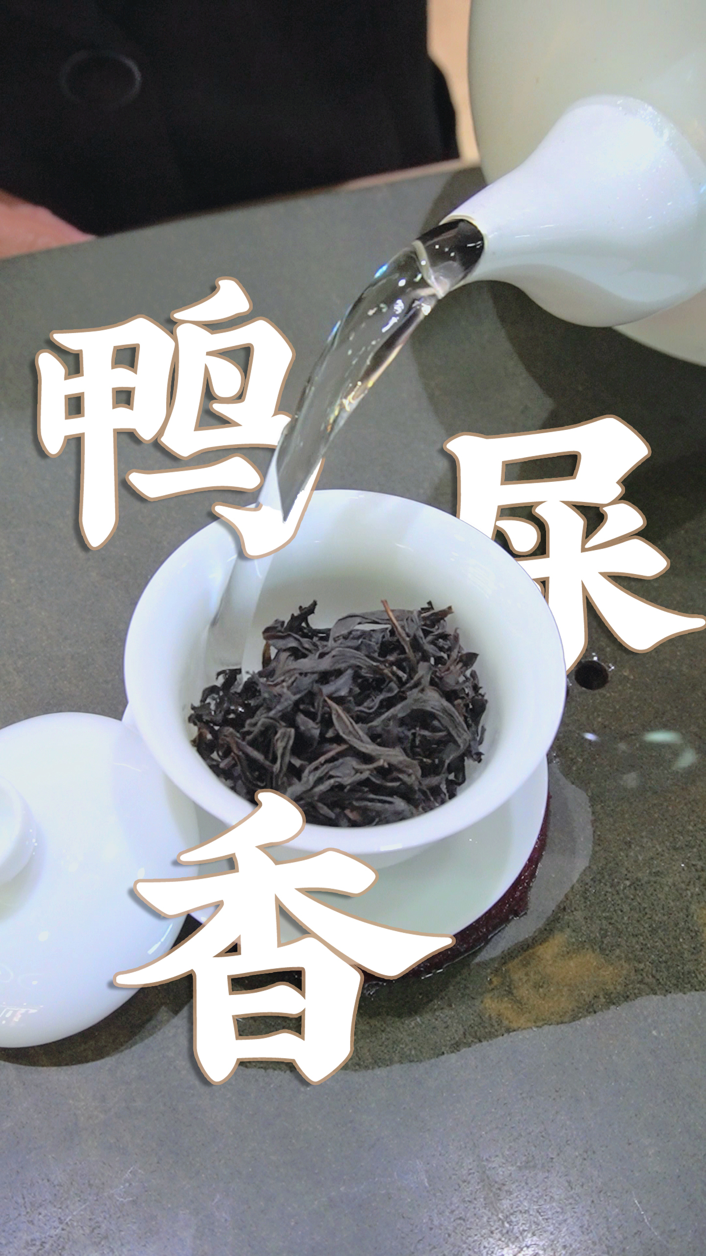 凤凰单枞·鸭屎香 盖碗冲泡