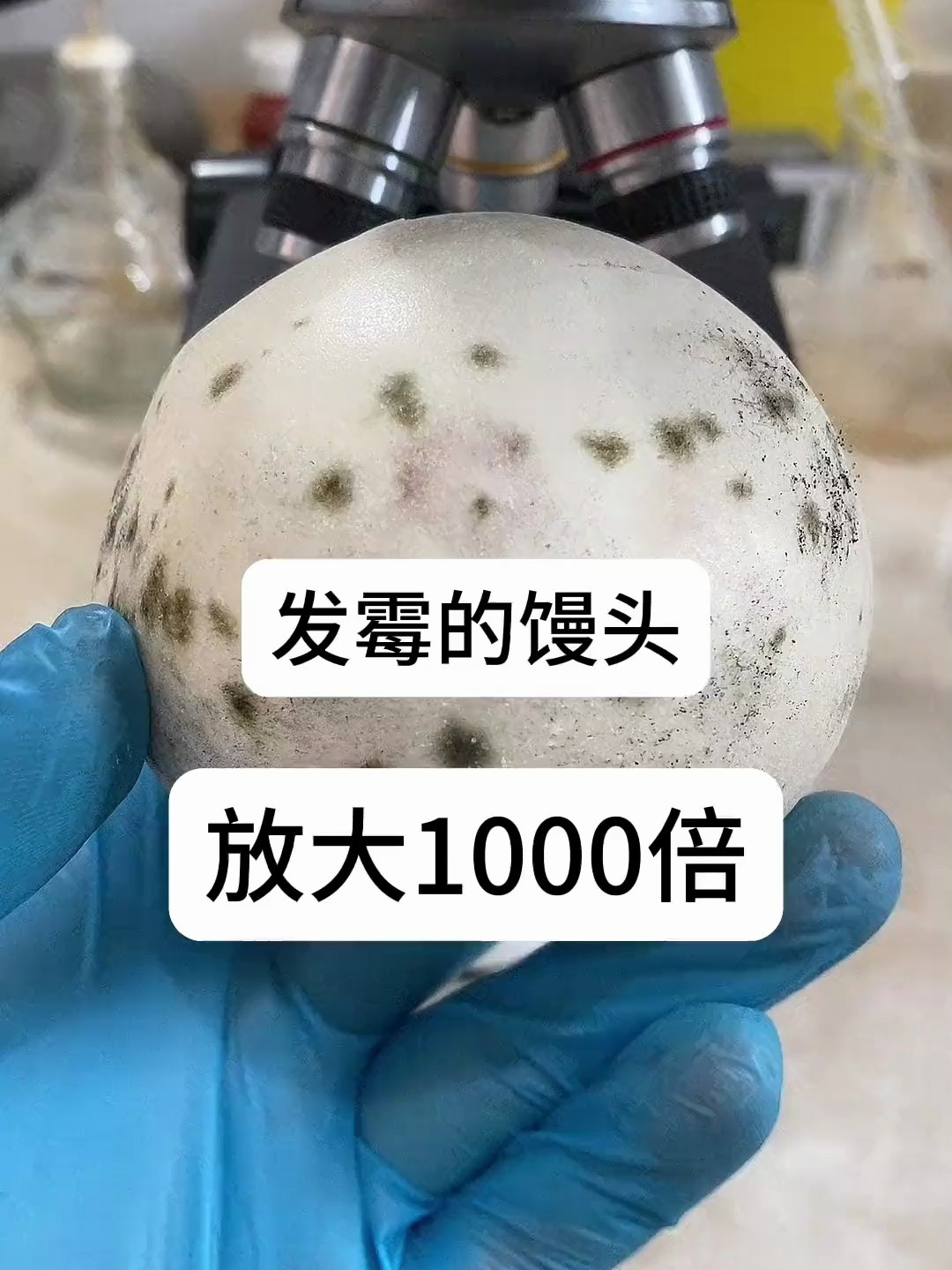 已经发霉的馒头,究竟还能不能吃,显微镜放大你就明白了