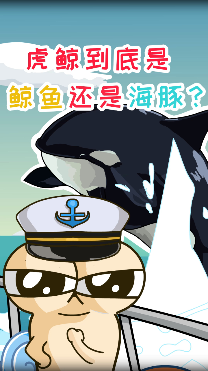 科普:虎鲸是鲸鱼,还是海豚?