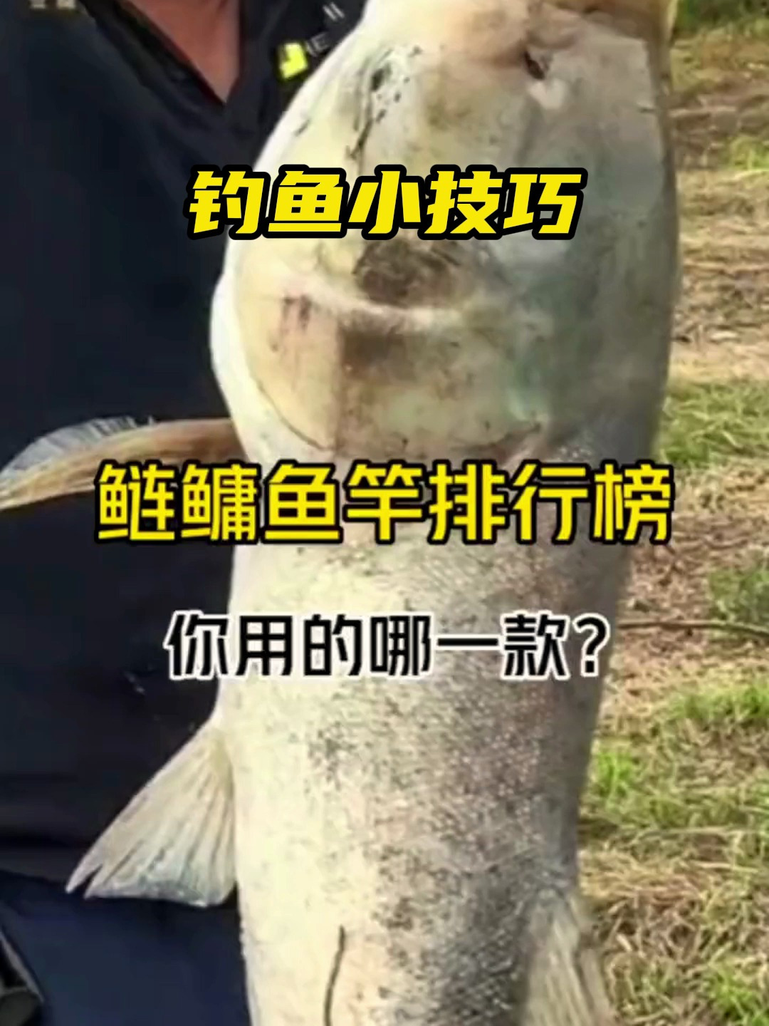 什么样的鱼竿适合钓鲢鳙?看完你能认出几个!
