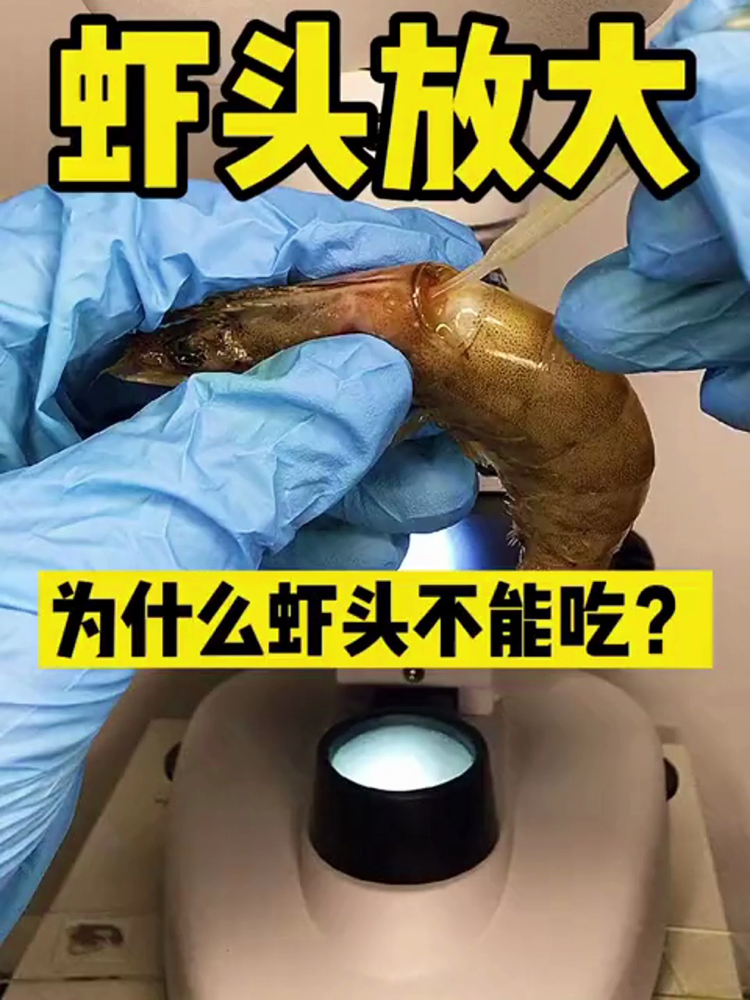 虾头里有什么?为什么不能吃?真有虾黄吗?