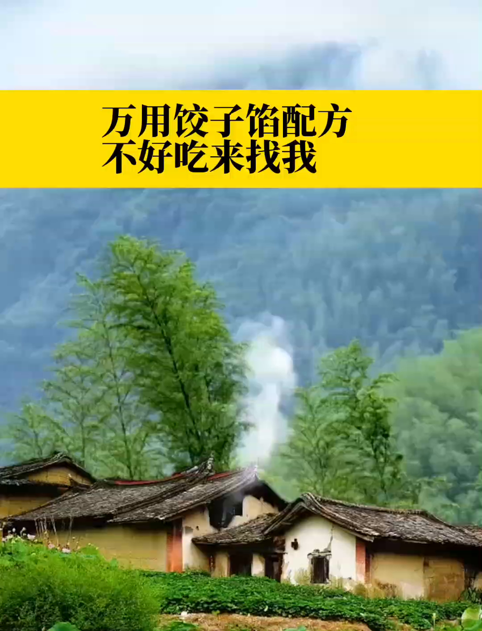 美滋滋的万能饺子馅儿秘方
