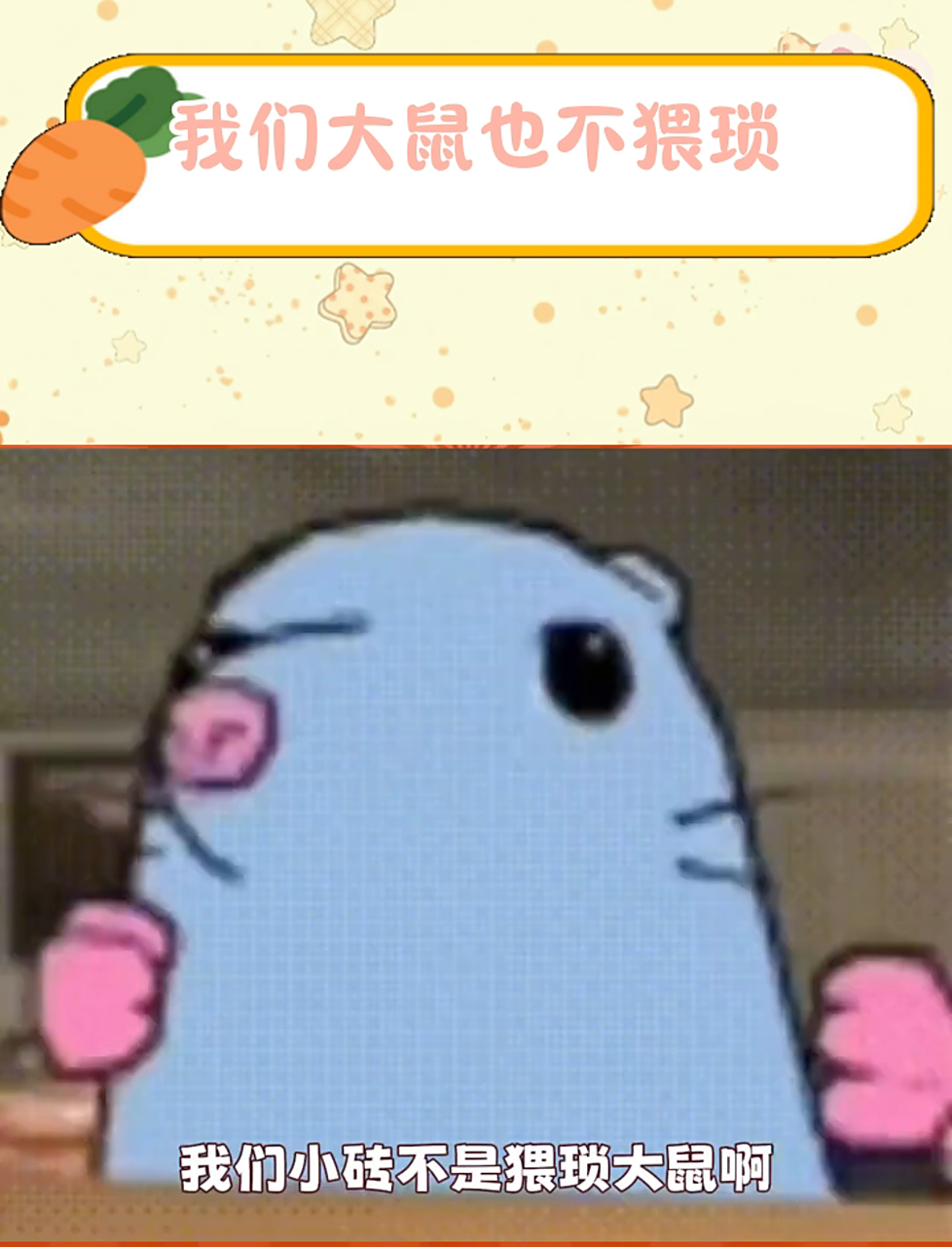 我就知道我一眼喜欢的鼠鼠一定是好鼠鼠