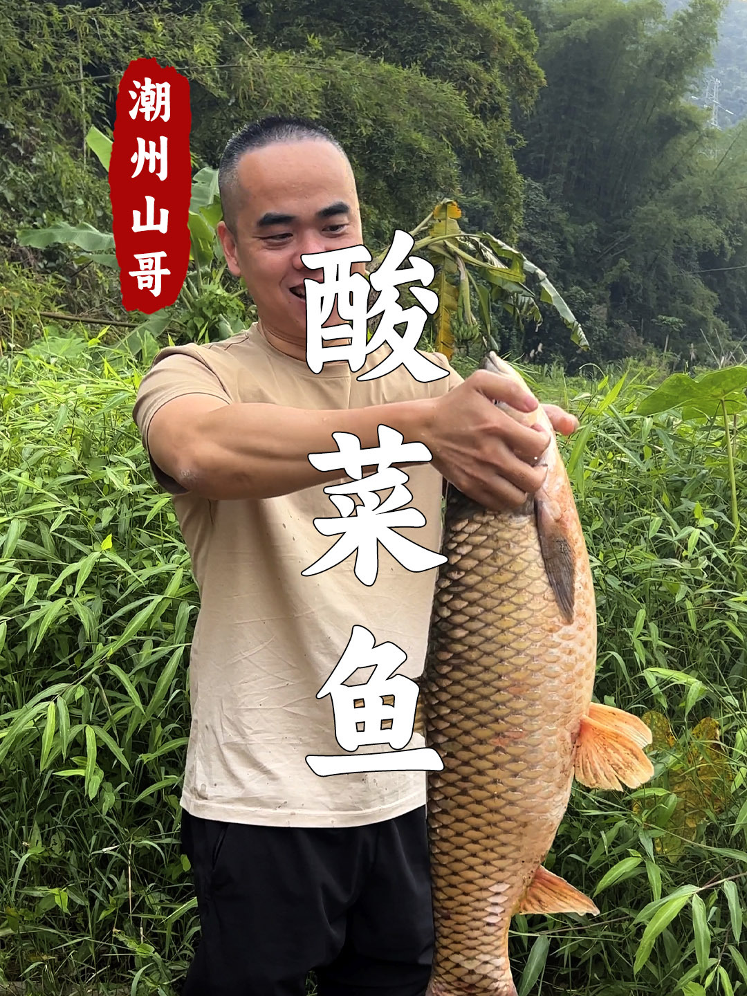 12斤大草鱼,加一包潮汕酸菜,煮一锅清汤酸菜鱼