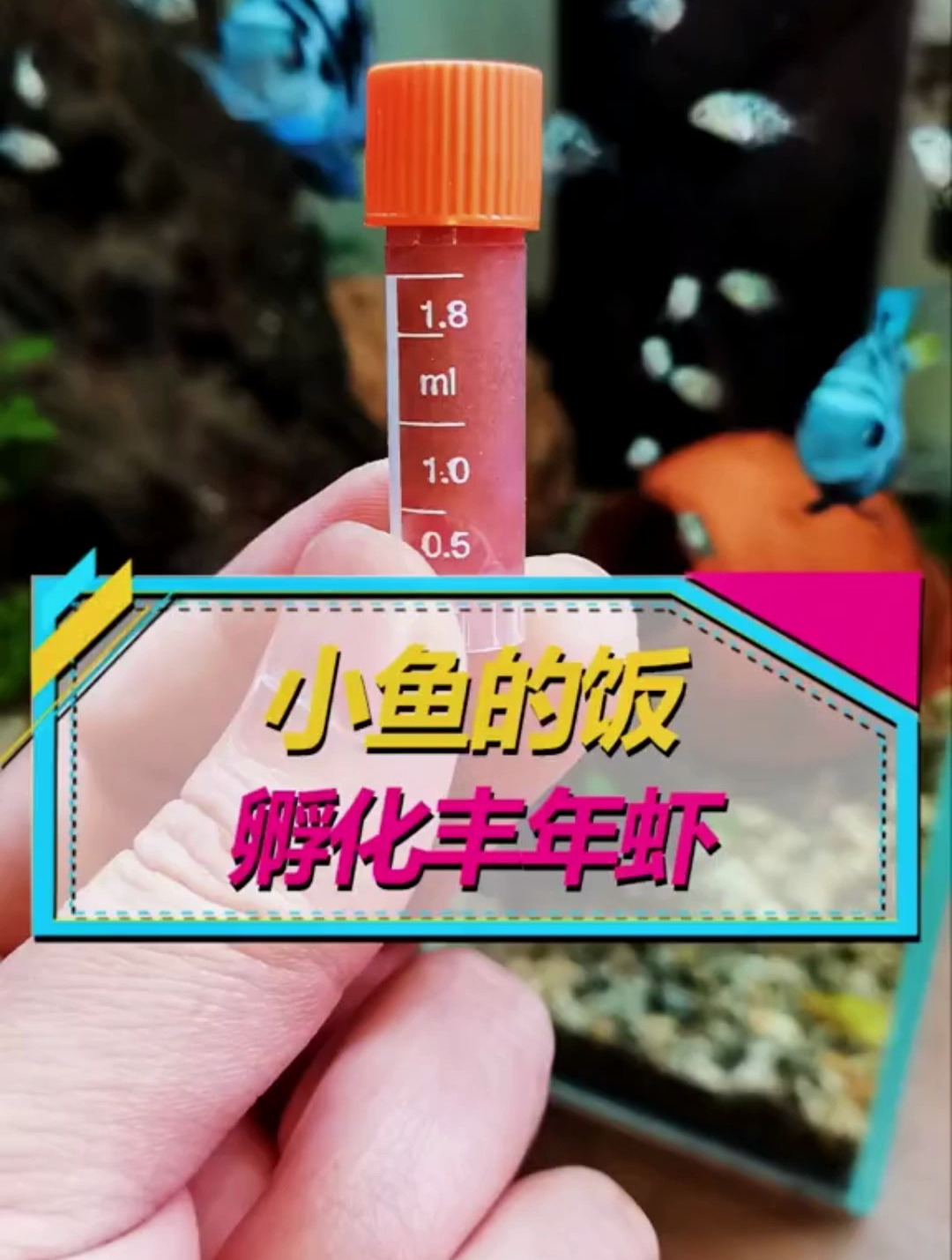 刚起飞的小鱼吃什么好?丰年虾孵化教程,鱼友们赶紧尝试起来吧!