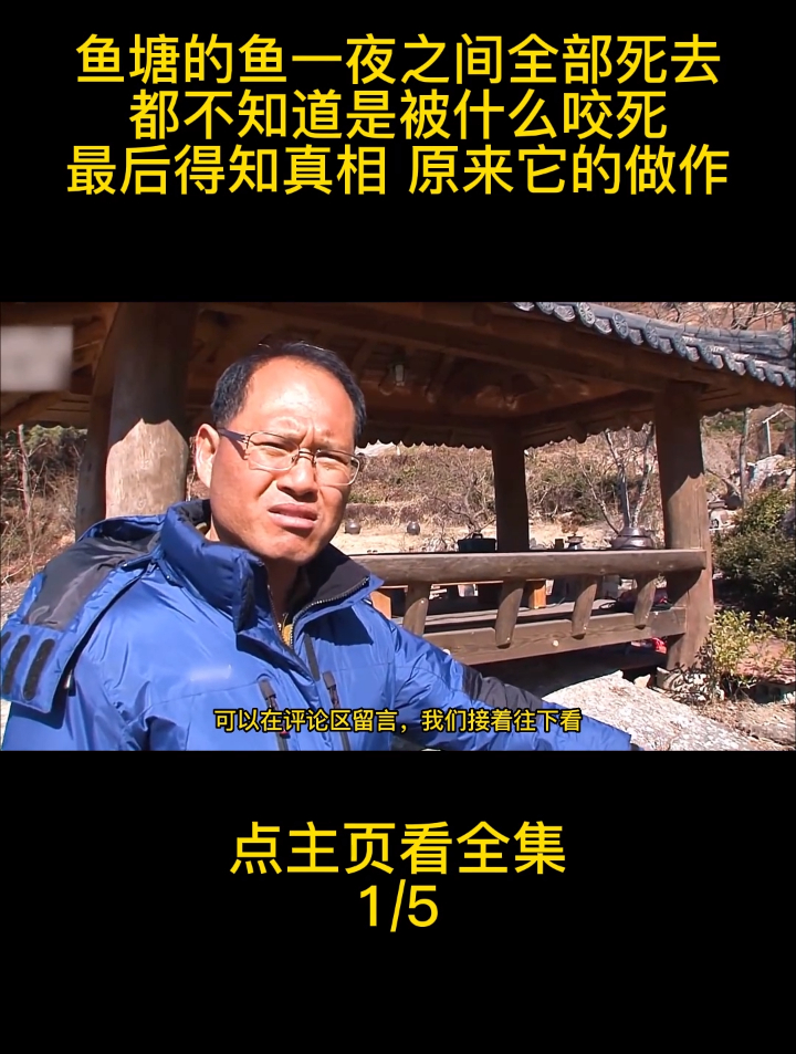 鱼塘的鱼一夜之间全部死去,都不知道是被什么咬死,鱼塘怪事1