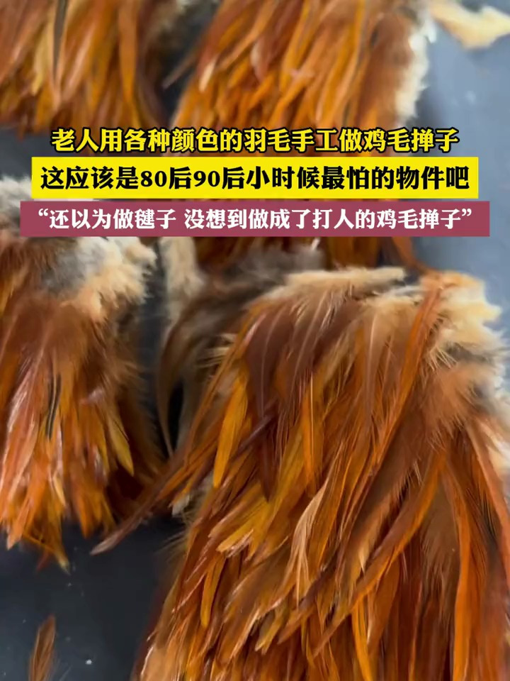 老人用各种颜色的羽毛手工做鸡毛掸子,这么漂亮的手工品