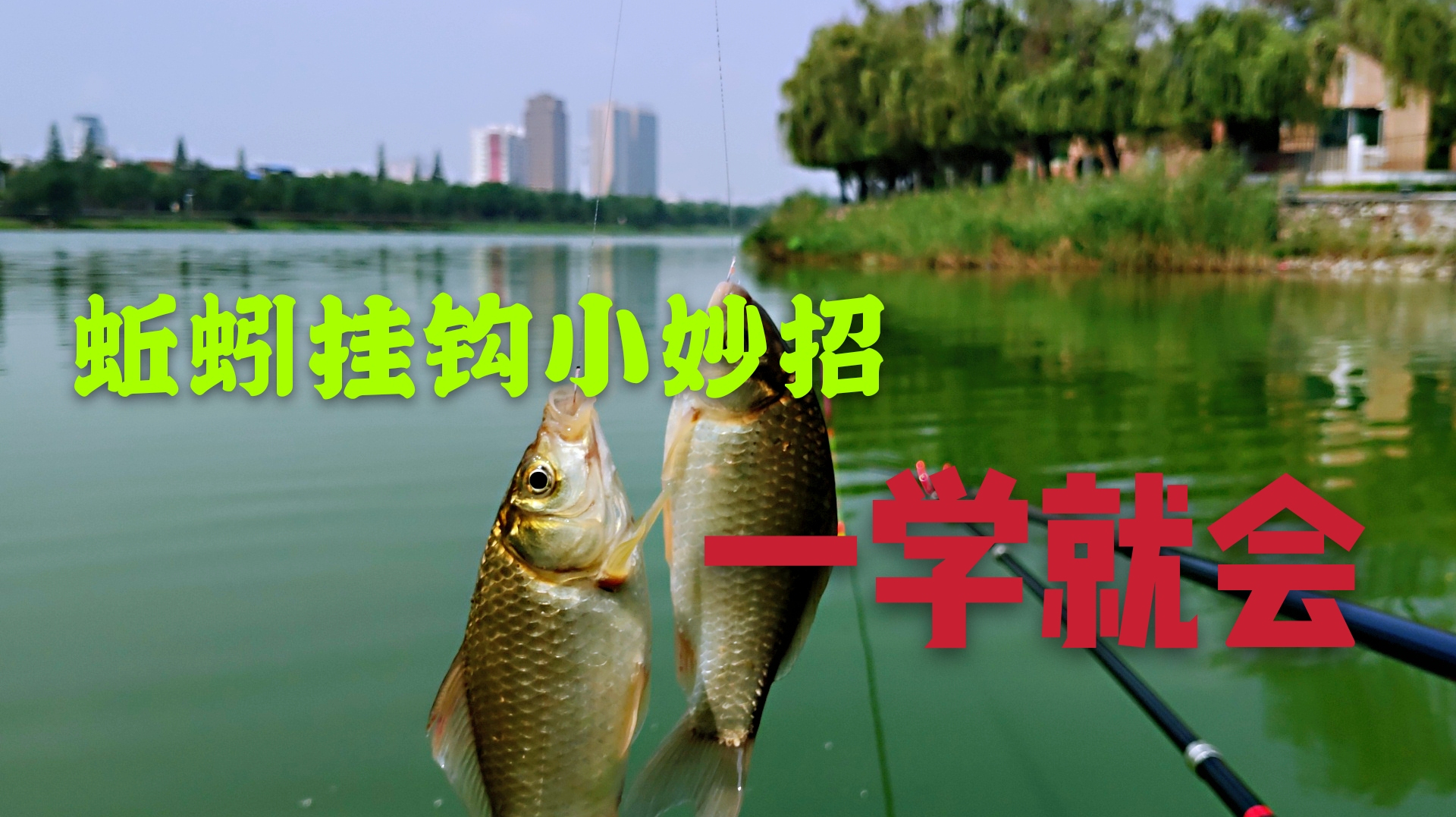 野钓:蚯蚓太滑不好挂钩?教你一招彻底解决,干净方便穿钩快