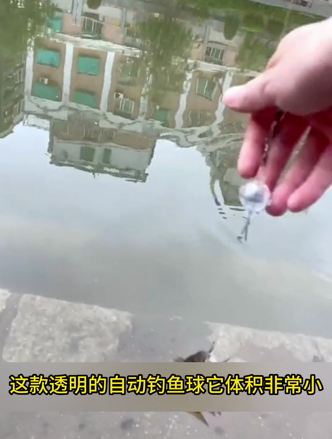 老钓友推荐自动钓鱼钩,钓鱼人从此不空军,你心动了么!