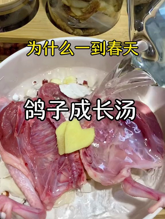 儿童汤谱:鸽子成长汤