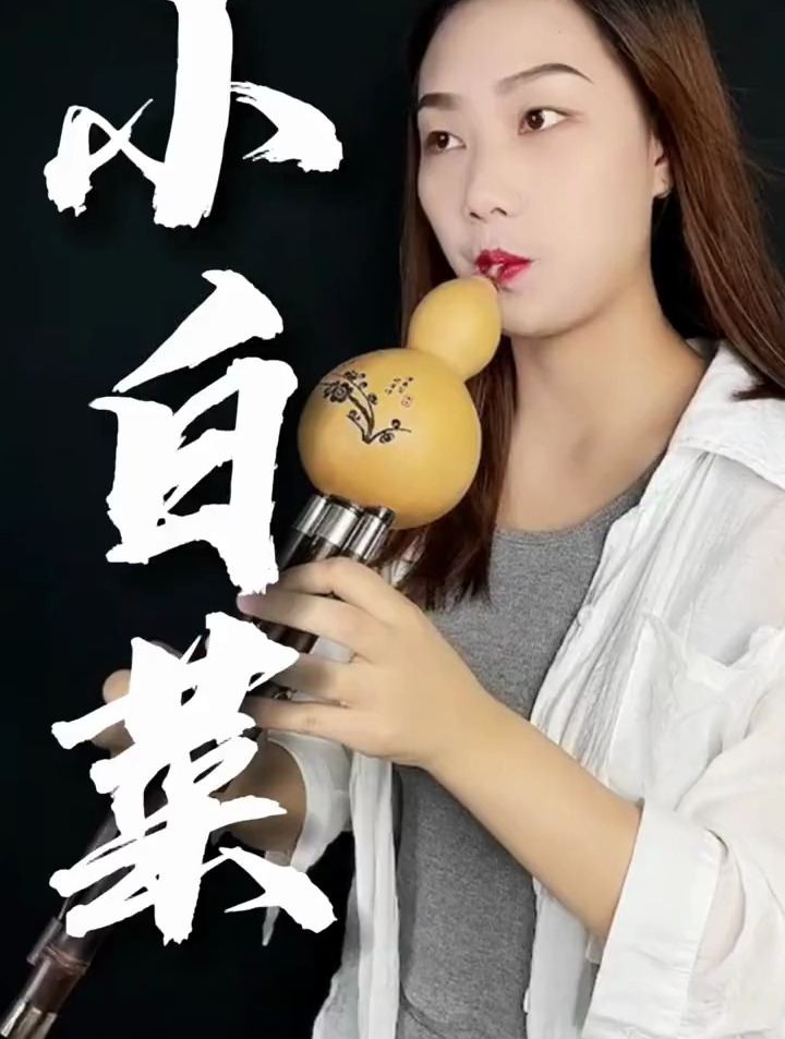 葫芦丝降B调演奏《小白菜》葫芦丝教学