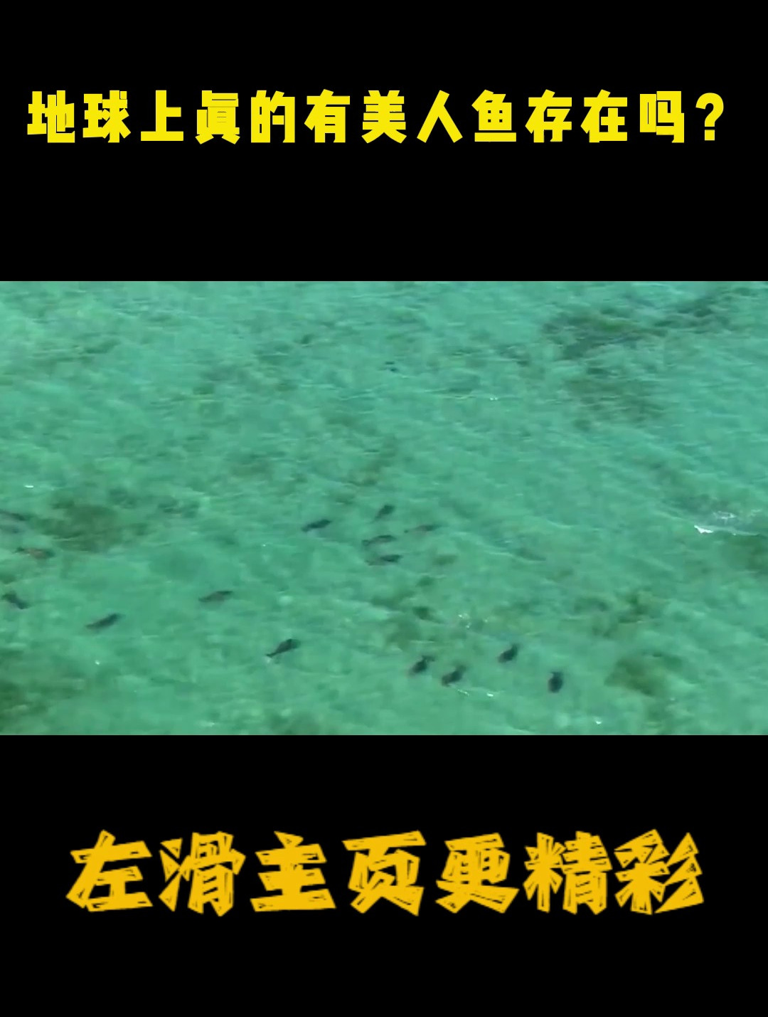 地球上真的有美人鱼存在吗?印度曾抓到一只?专家看后却傻眼了