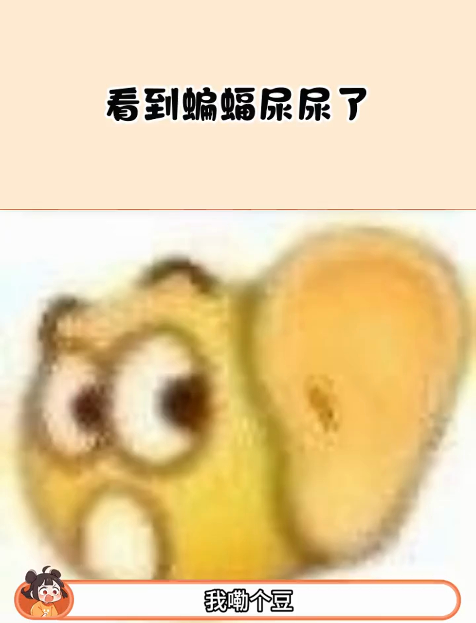 居然看到蝙蝠屎屎了!