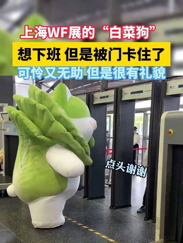 可爱白菜狗想下班,可是被安检门卡住了