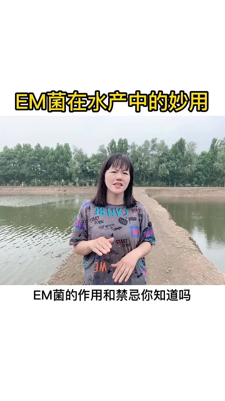 EM菌在水产中的妙用 水产养殖技术服务 鱼虾蟹参蛙养殖