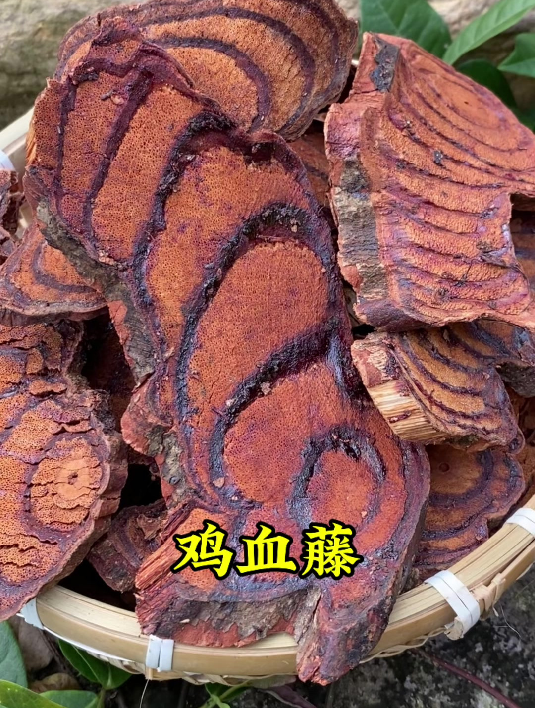 广西深山采挖的老鸡血藤,看看你喜欢吗?
