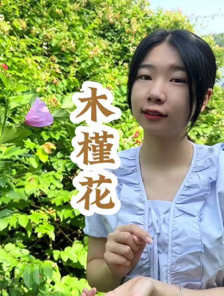 什么花可以煮出鸡肉的味道?它贵为两国国花,木槿夏天不可错过