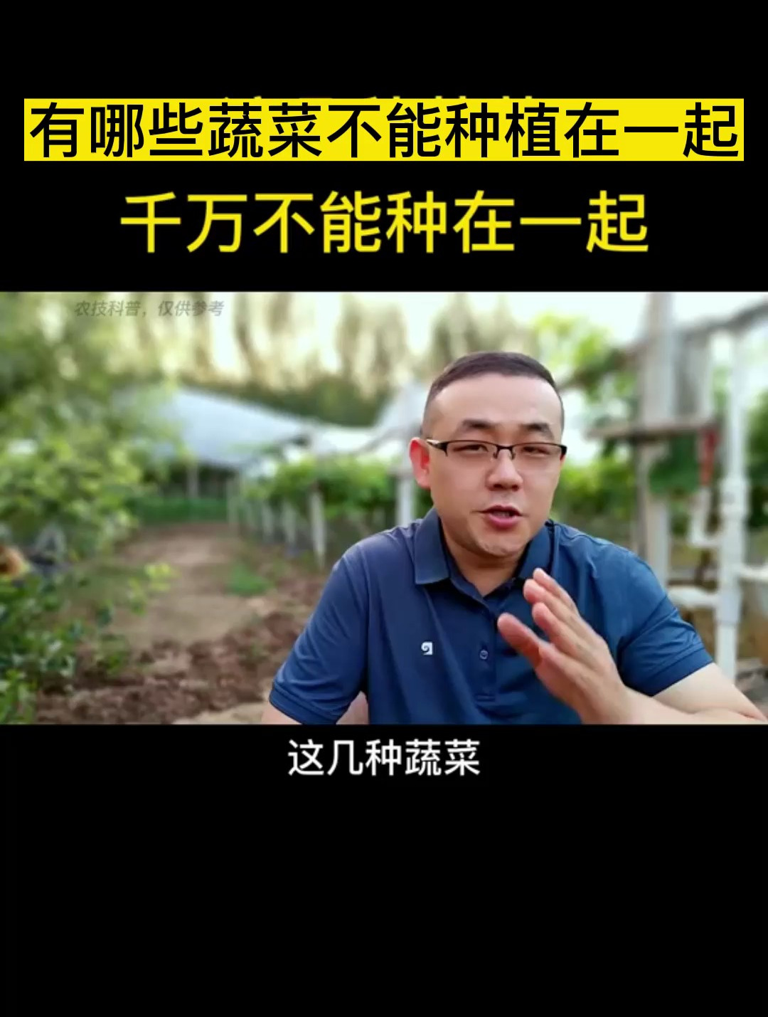 有哪些蔬菜不能种植在一起