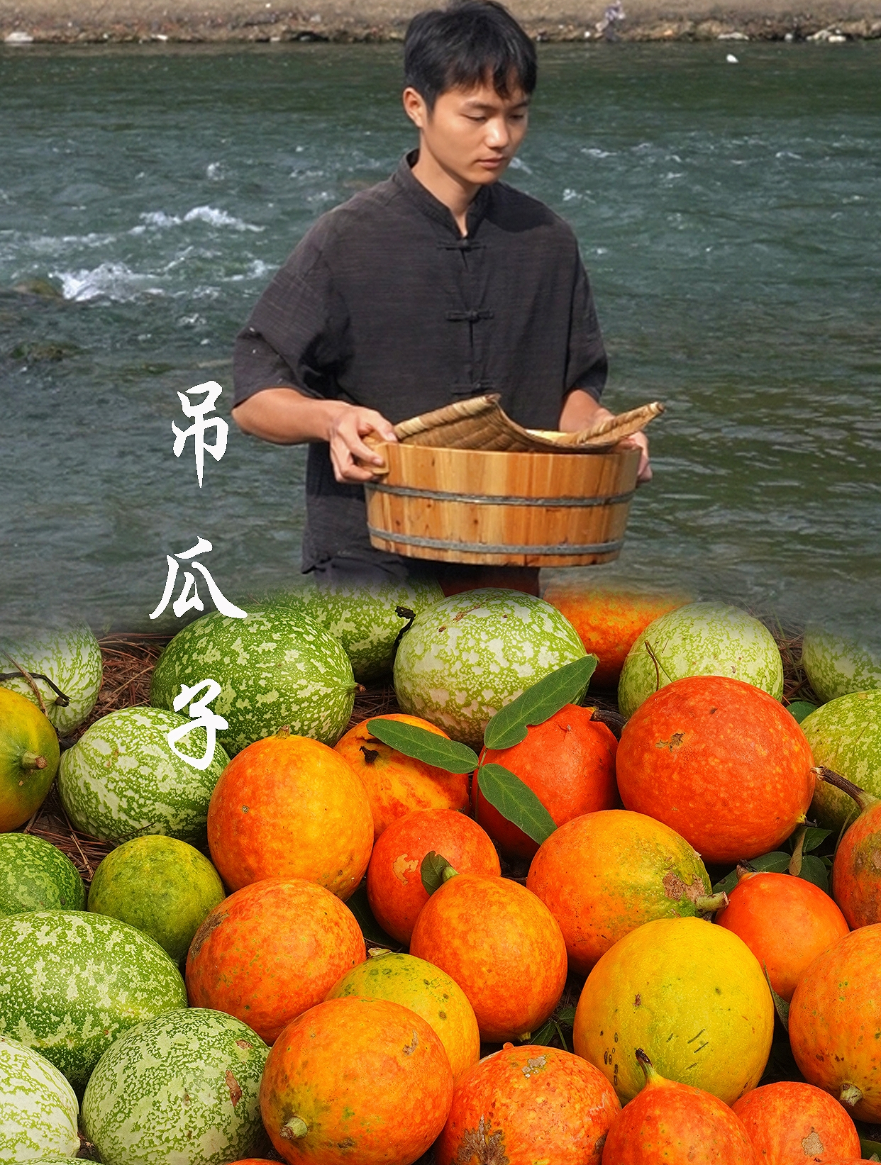 外表像橙子又像百香果,掰开像鸭屎,它就是美味的吊瓜子