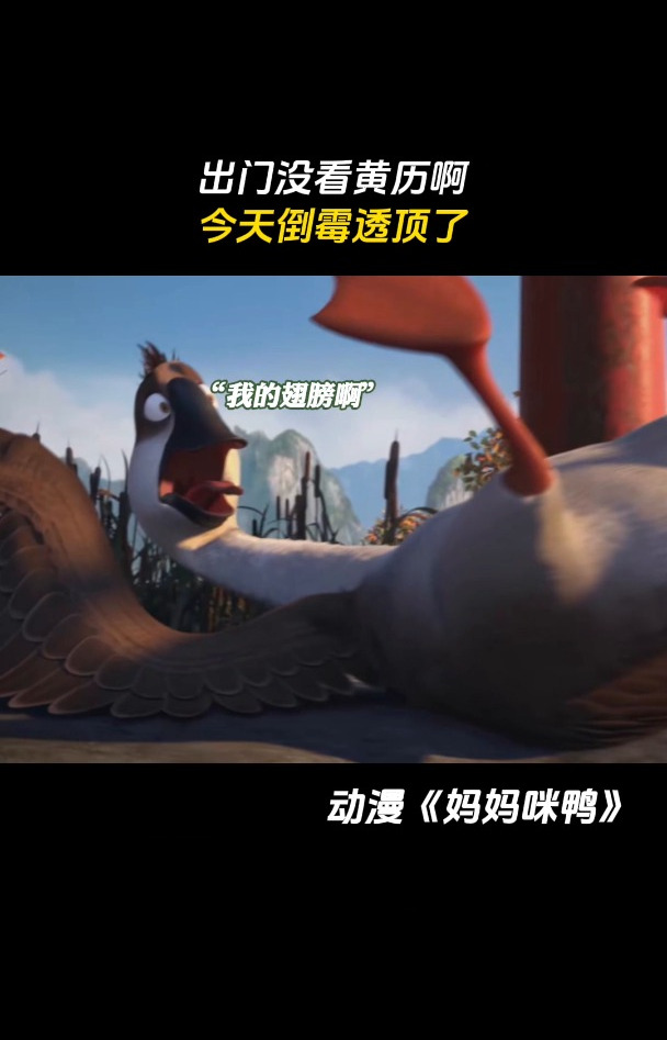 妈妈咪鸭:出门没看黄历啊 今天倒霉透顶了