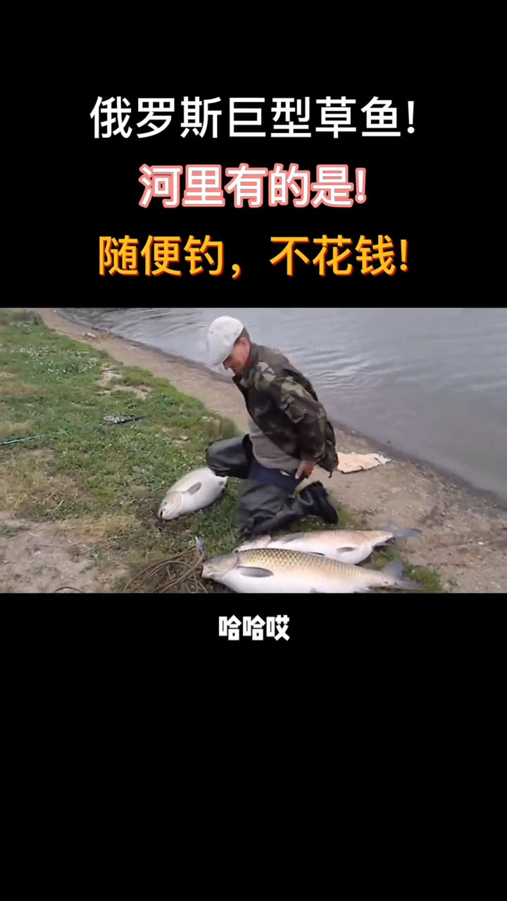 俄罗斯野钓大草鱼,太过瘾了!