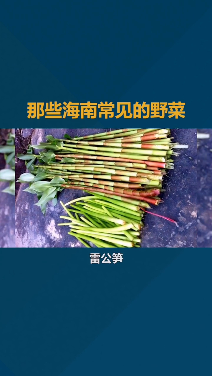 海南人吃过否?今天它来了