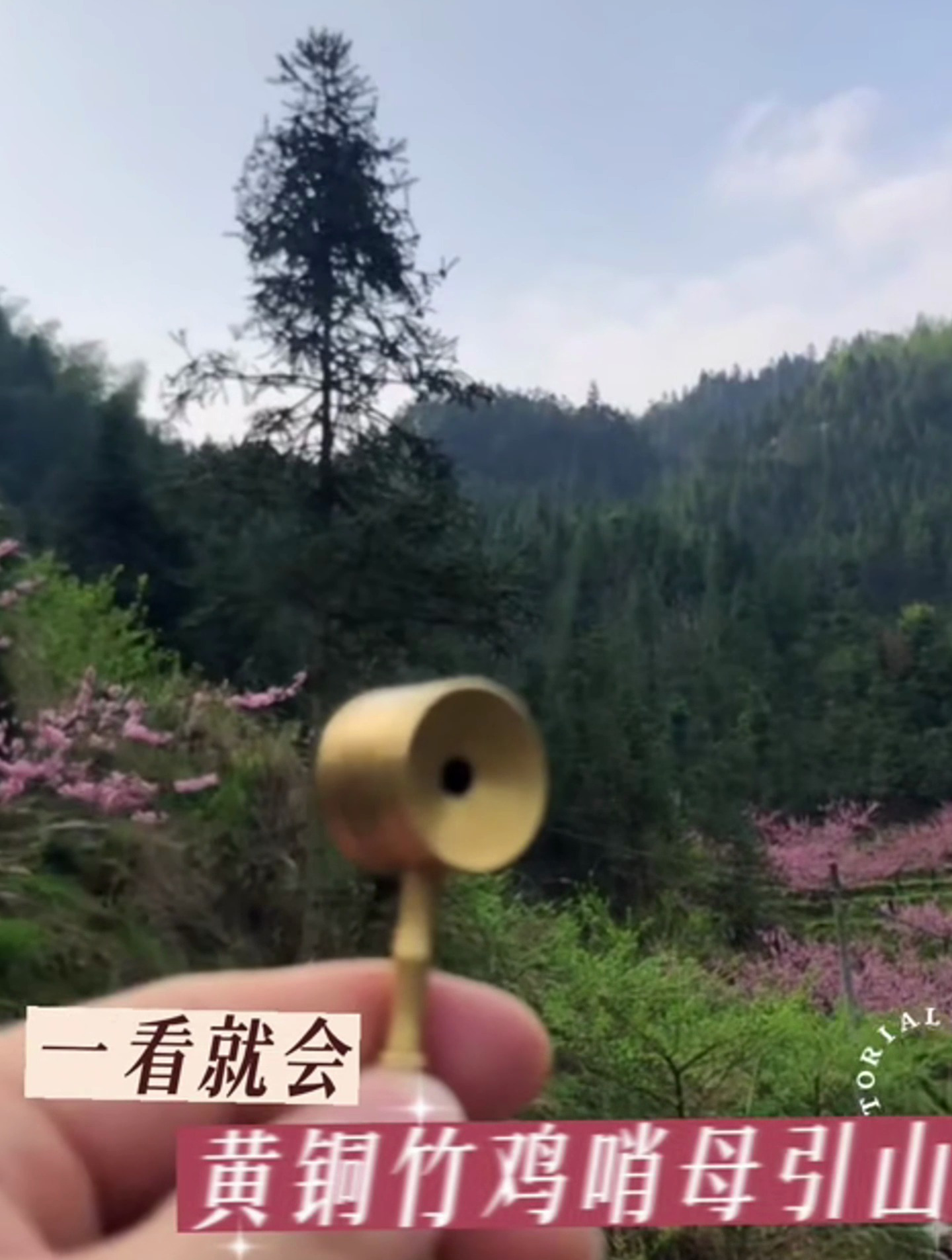 用哨子与竹鸡对话,可以用来训练竹鸡