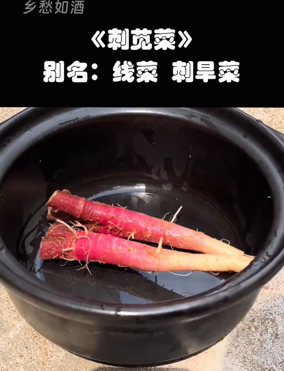 乡下遍地的刺苋菜,好处多得你想不到!