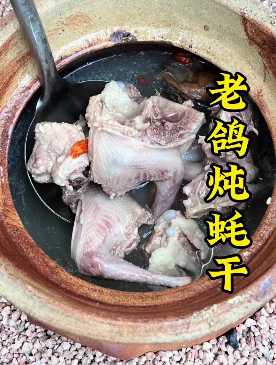 闽南老鸽炖蚝干,挑战第一次给粉丝炖汤!泉州美食 地方特色美食
