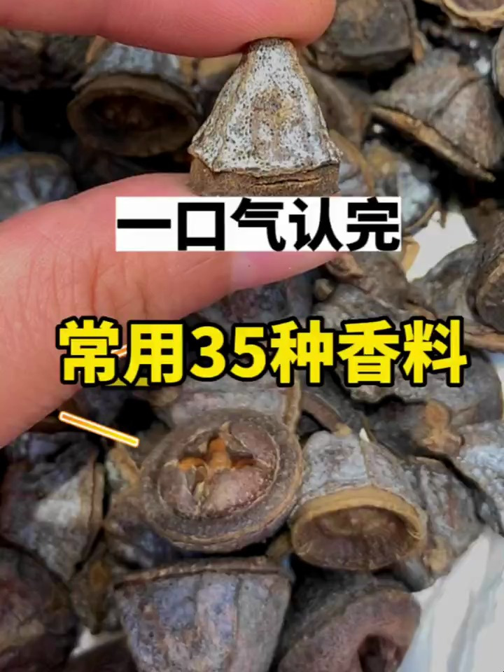 一口气认完常用的35种传统香料,卤水知识普及 香料 卤菜培训