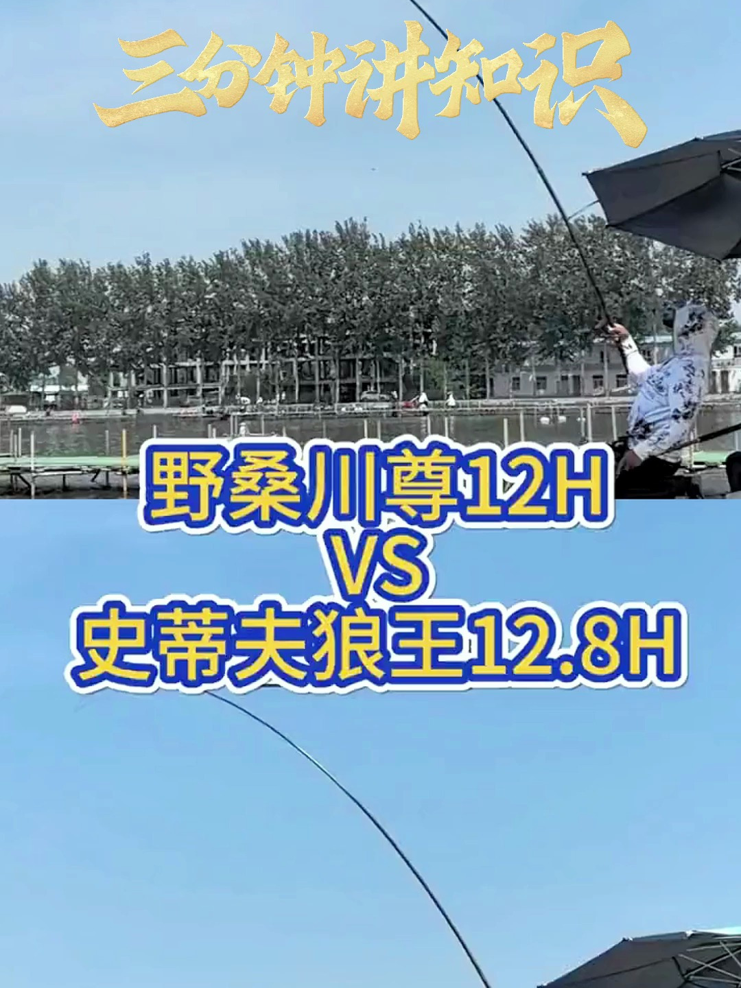 野桑川尊12H和史蒂夫狼王12.8H比较,究竟哪一种鱼竿更好用?