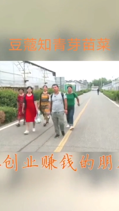 芽苗菜种植技术视频