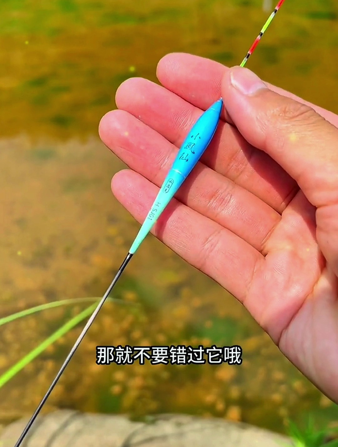 买浮漂别光顾质量,根据不同环境鱼情选择,就算逆光也能抓住漂口
