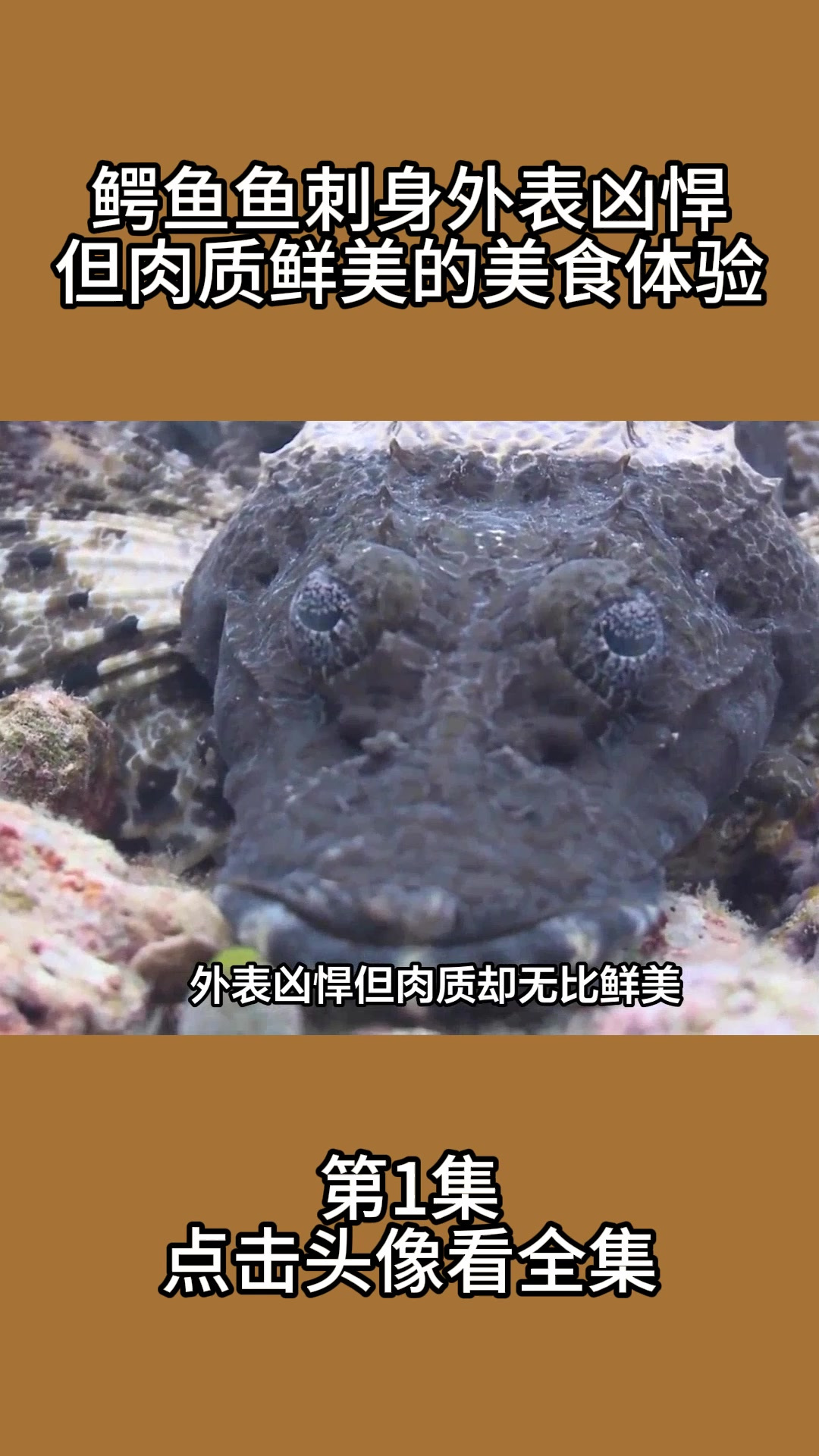 鳄鱼鱼刺身:外表凶悍但肉质鲜美的美食体验1