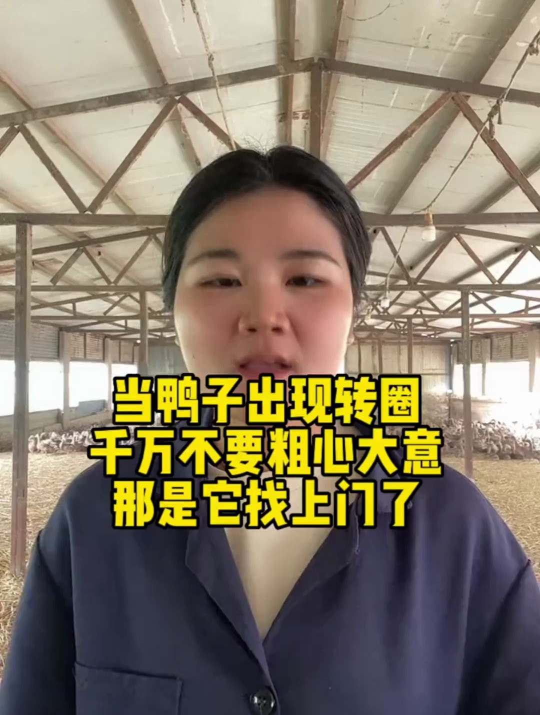 当鸭子出现转圈,千万不要粗心大意,那是它找上门了