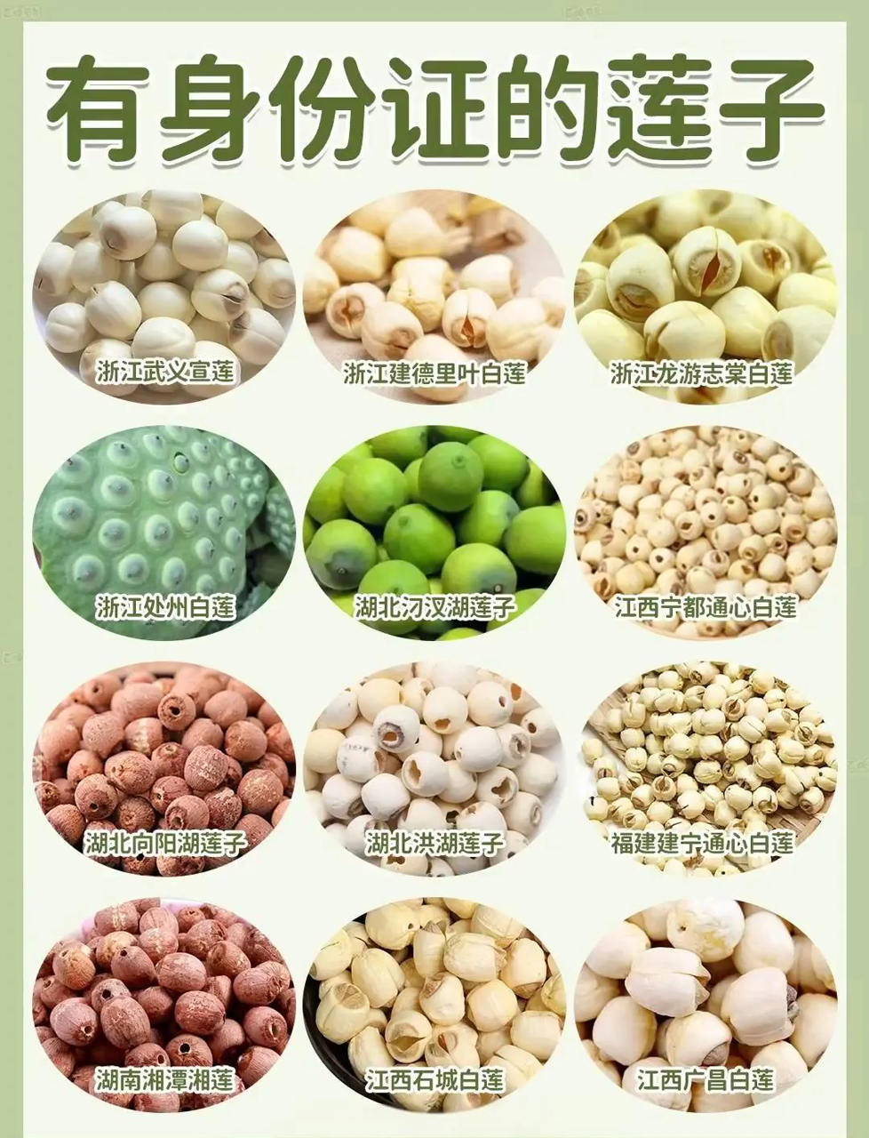 聊聊日常小知识:各种谷物杂粮,莲子有哪些品种?