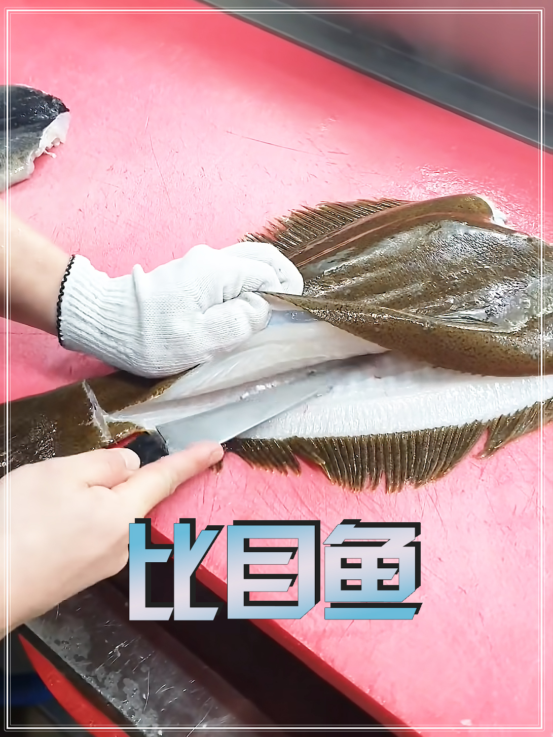 你知道比目鱼的眼睛是怎么长的吗?