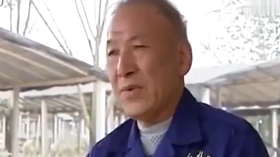 为了制作出口味纯正的板鸭 从选材到制作完成 要经过14道工序