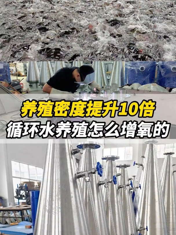 养殖密度提升10倍,循环水养殖怎么增氧?