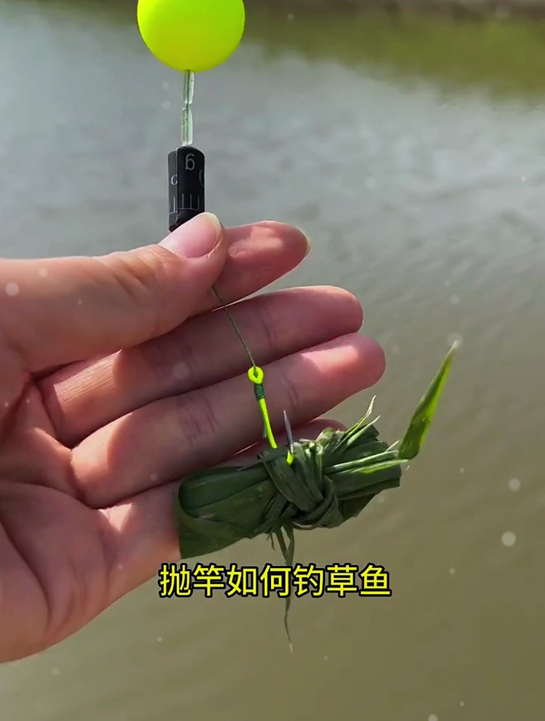 浮钓草鱼技巧,线组这样用,挂上青草蚱蜢草鱼连竿上!