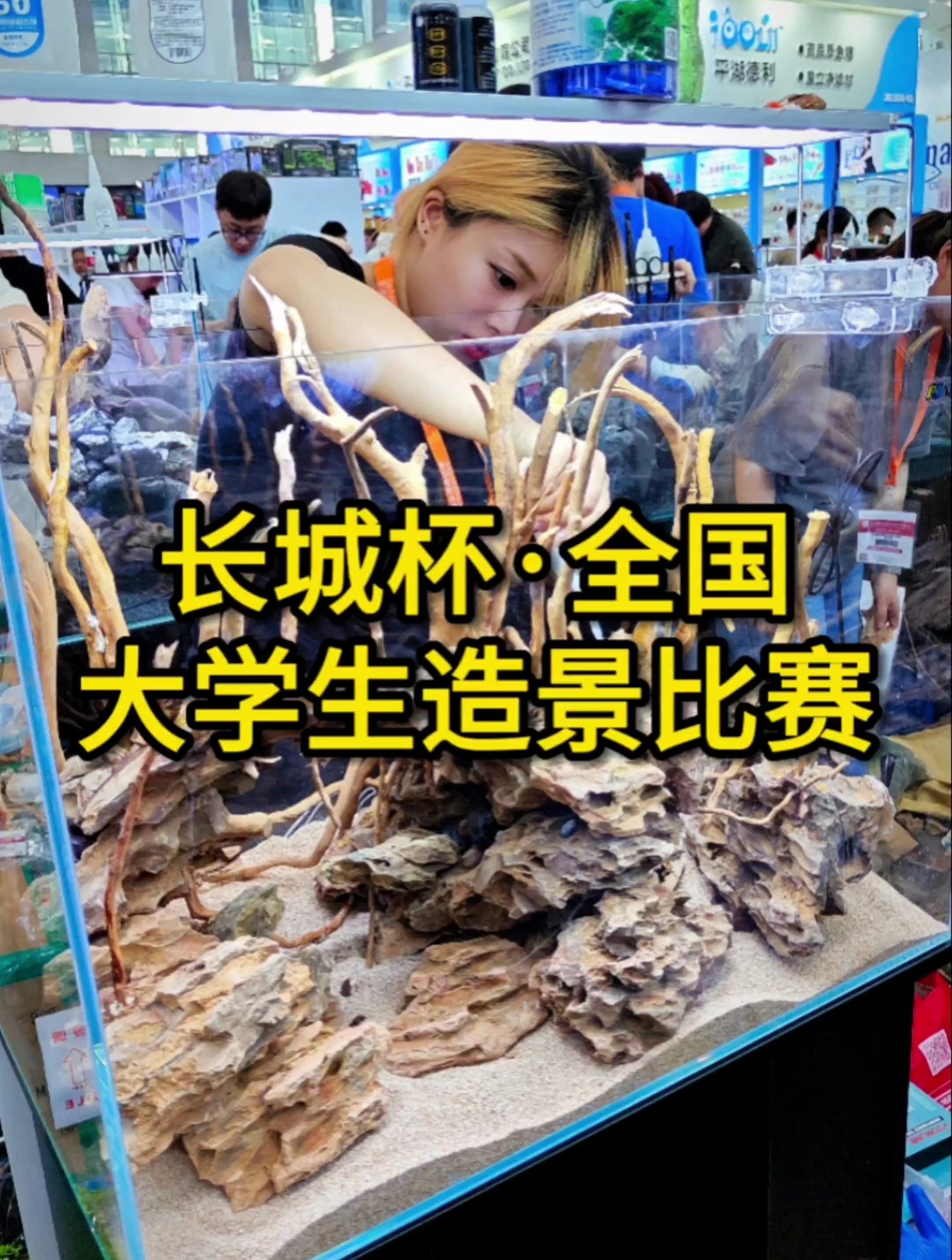 2023长城杯全国大学生水草缸造景比赛,前三名作品