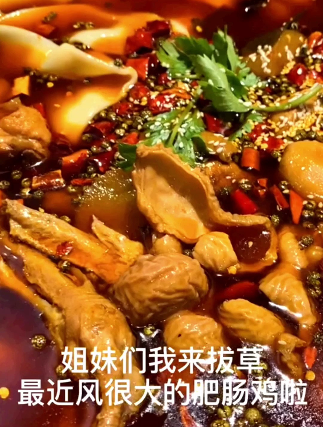 热烈欢迎:重庆肥肠鸡来到武汉武汉姑娘吖是真滴喜欢吃辣