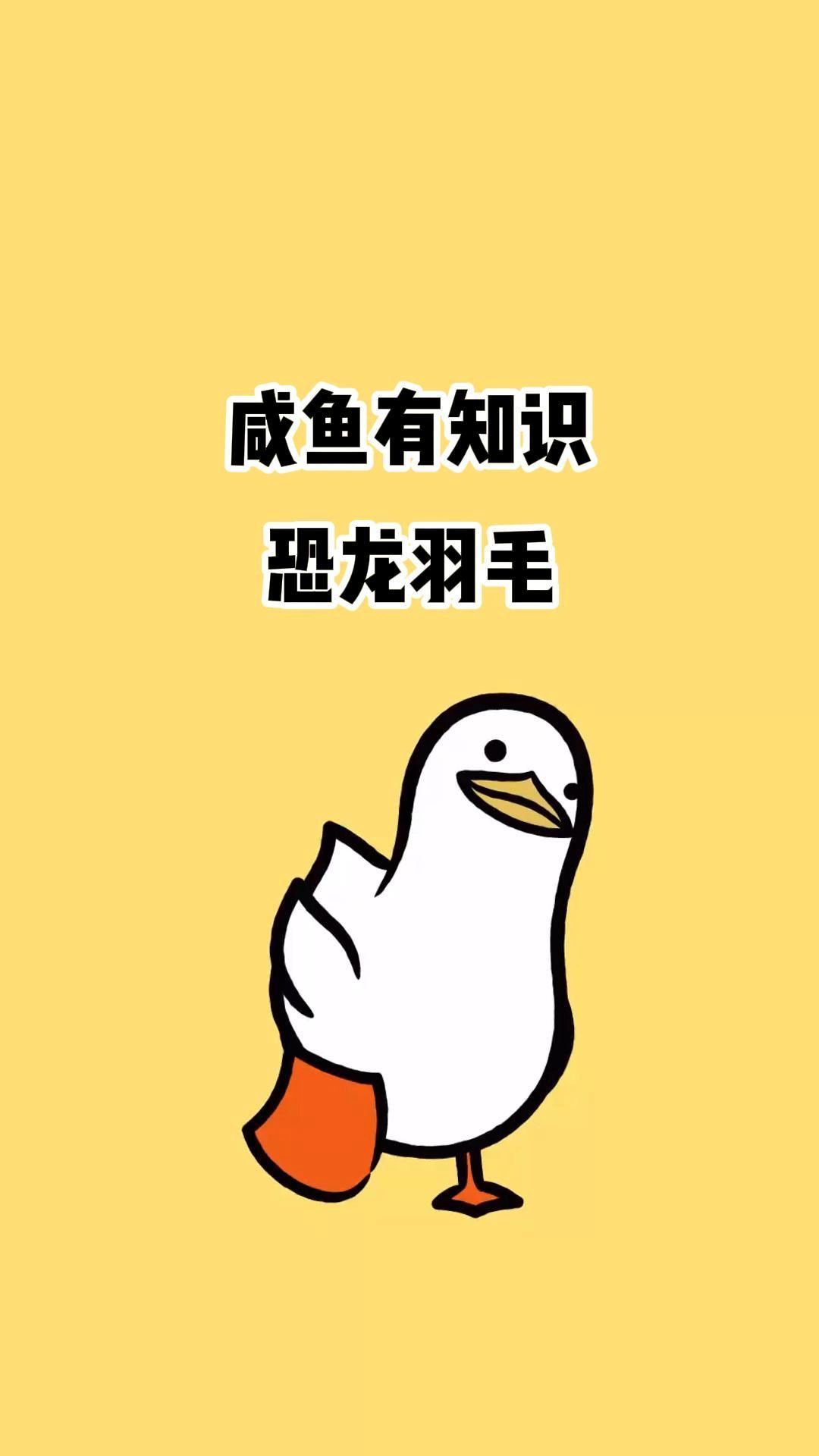 恐龙是怎么长出羽毛的?