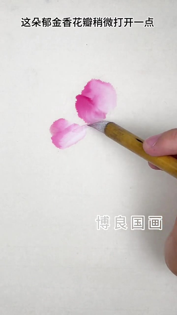 一朵郁金香????……