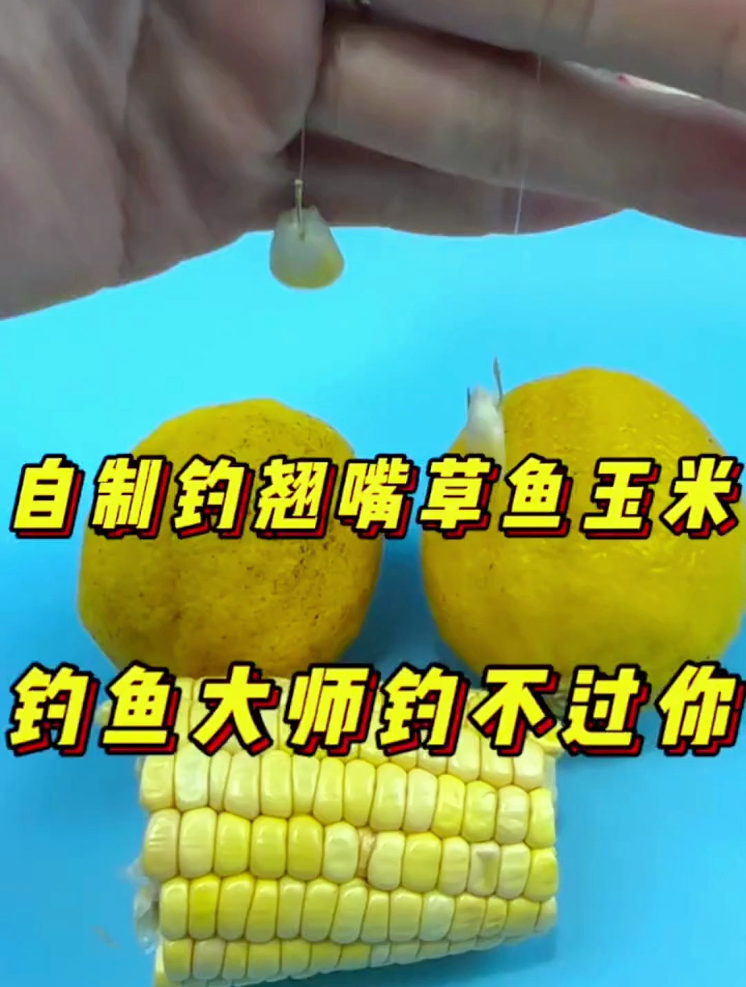自制钓翘嘴草鱼玉米饵料,学会后邓刚都钓不过你