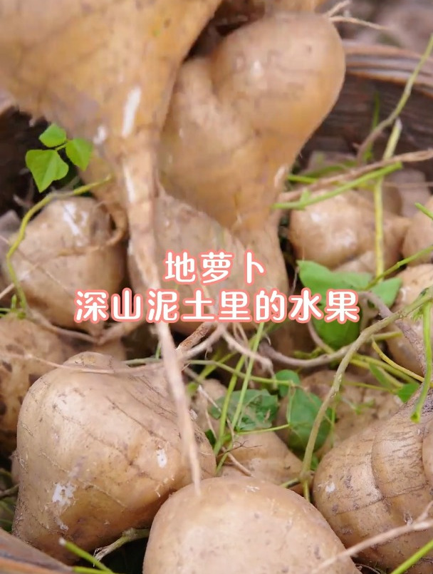 可以生吃的地萝卜,口感脆甜多汁,做成凉粉口味更独特~