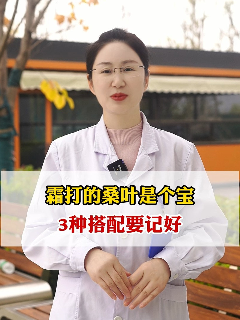 霜打的桑叶是个宝,3种搭配要记好