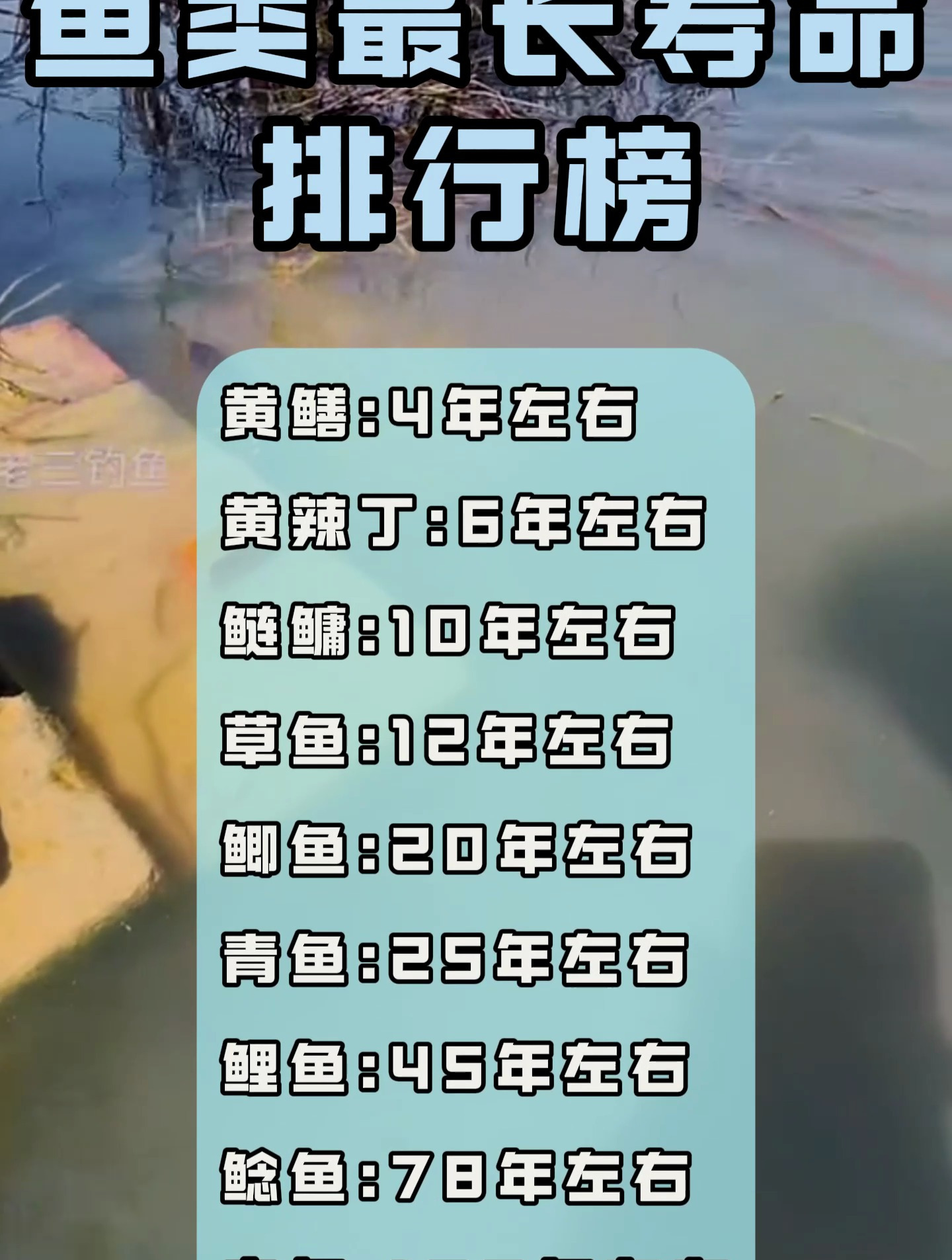 鱼类最长寿命排行榜,有的鱼竟然能活100年?