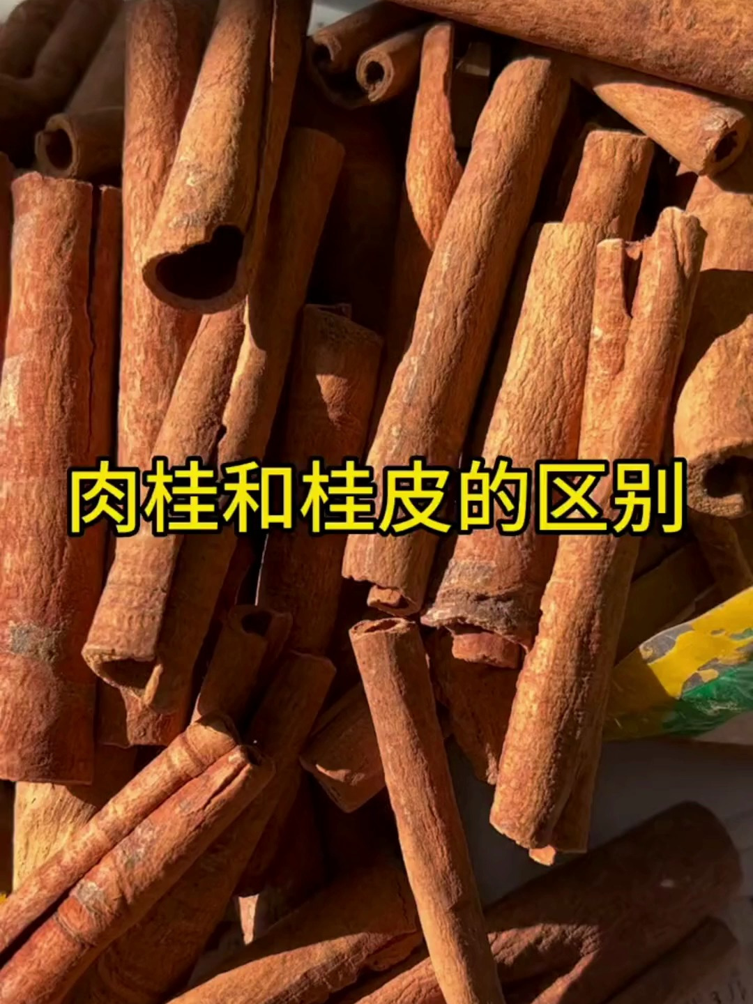 肉桂和桂皮的区别