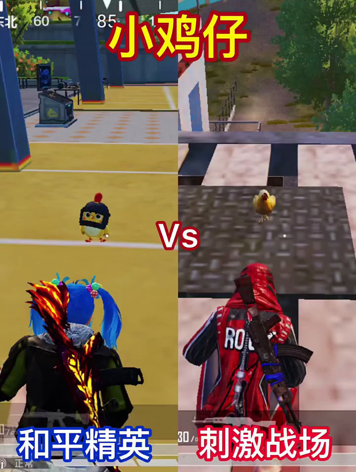 小鸡仔和平精英vs刺激战场